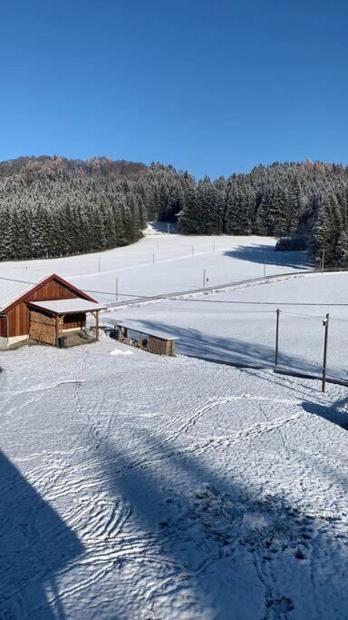Idyllisches Ferienapartment Allgaeu Bad Grönenbach Kültér fotó