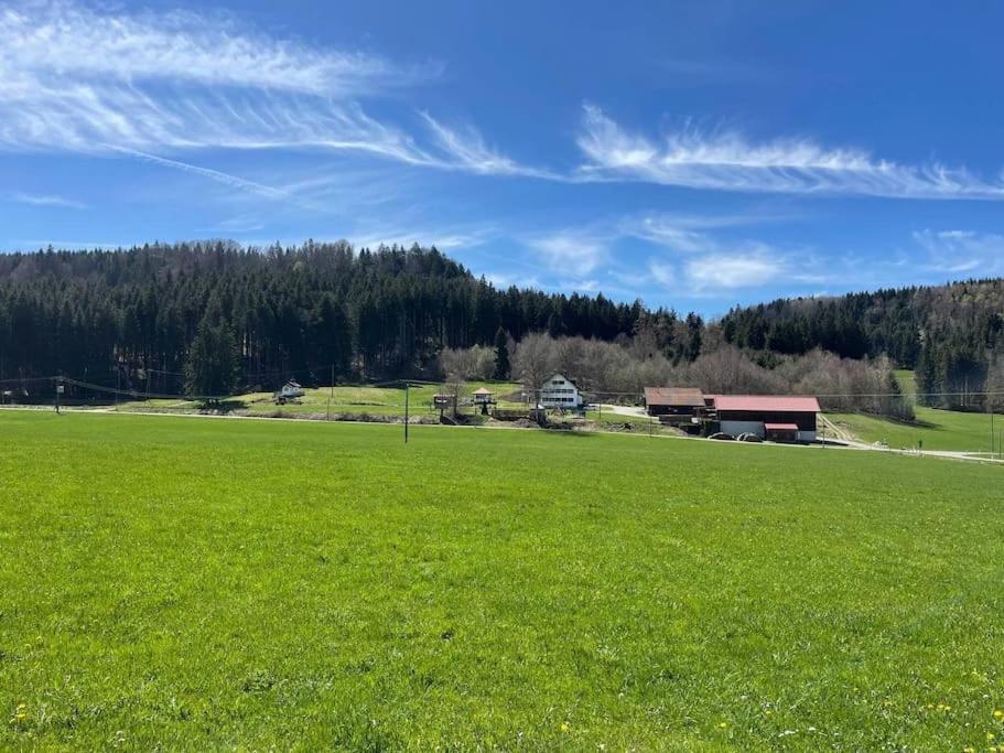 Idyllisches Ferienapartment Allgaeu Bad Grönenbach Kültér fotó